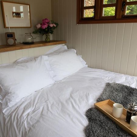 Luxury, Rural Shepherds Hut With Hot Tub Nr Bath بريستول المظهر الخارجي الصورة